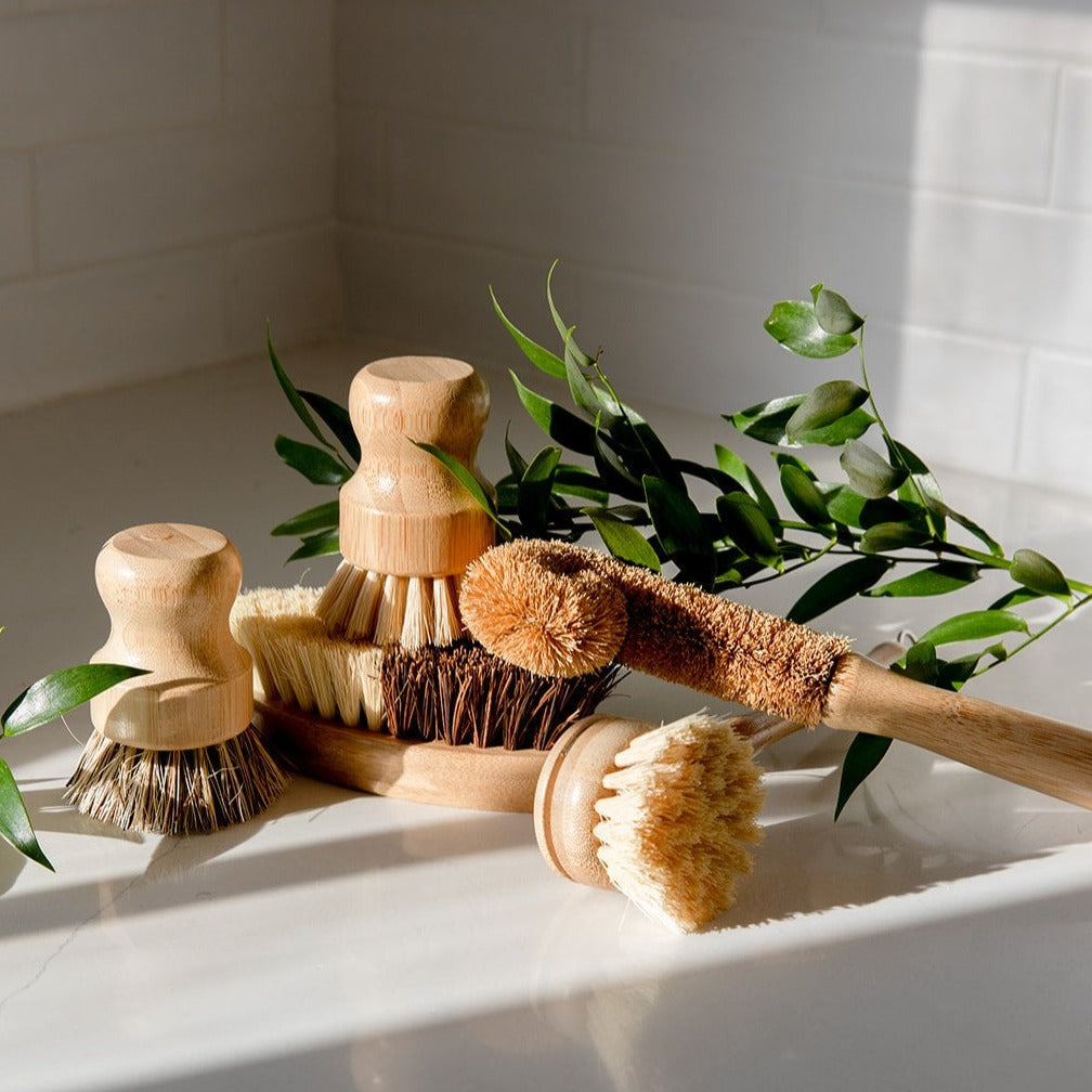 Zero Waste Store Zero Waste Dish Brush Kit