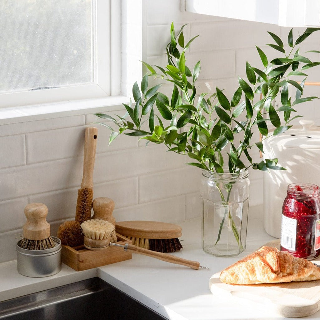 Zero Waste Store Zero Waste Dish Brush Kit