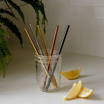 Zero Waste Store Zero Waste Store Bent Stainless Steel Straw - Plastic Free, 1 Straw