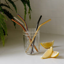 Zero Waste Store Zero Waste Store Bent Stainless Steel Straw - Plastic Free, 1 Straw